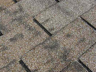 Dirty Old Shingles